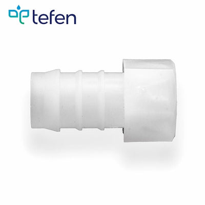 Tefen PVDF Female 1/2" BSPT Hose Conn White Fits 19mm Hose ID-HCL Clamping UK/Europe